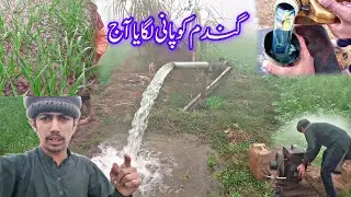 Gandham Ko New Formola Dal Diya 🌿 Shajaat Pendu