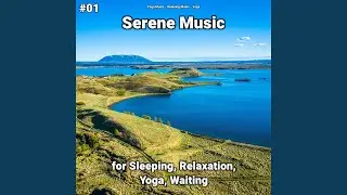 Harmonious Soundscapes