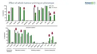 Prof. Mark Lowdell Explains How INKmune Arms Natural Killer Cells to Kill Solid Tumors