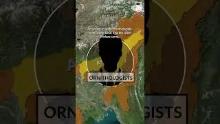 Mystery of Valley of death: Jatinga Valley of Assam #UPSC #IAS #CSE #IPS