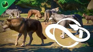 ✨New Update and Animal Color Variations On The Way!! | Planet Zoo