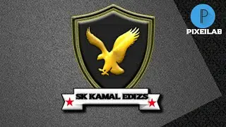 pixeilab new eagle Design|how to edit pixeilab eagle design