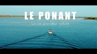 Le Ponant : la vie grandeur nature à La Grande Motte