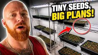 ABANDONED GREENHOUSE property gets started!!!