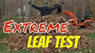 Extreme Leaf Clean Up| Putting the Echo PB 8010 Backpack Blower to the TEST