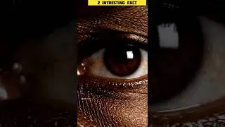 You Are Never Seeing Reality in Real Time