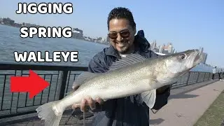 HE CAUGHT A HOG -Jigging for Spring Walleye