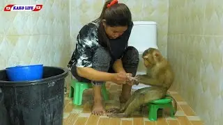 Adorable Little Kako Taking Bath On Chair