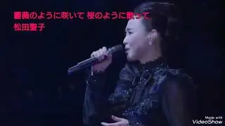 薔薇のように咲いて 桜のように散って　松田聖子　ライブ　コンサート