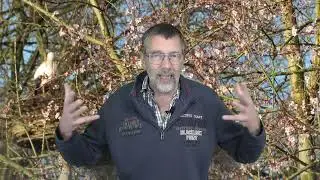 Grenzen aangeven is niet egoïstisch maar een heilige noodzaak en daad van goddelijke liefde.