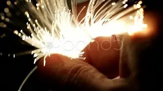 Hand Full Of Brightly Lit Fibre Optic Cables. Data Network.. Stock Footage