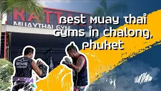 Top 8 Muay Thai Gyms in Chalong, Phuket - Which One is Right for You?