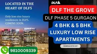 DLF The Grove - DLF Independent Floors Phase 5 Gurgaon - Luxury Low Rise Apartments - Gated Society