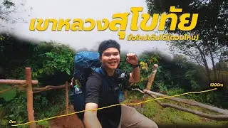ป่านี้มือใหม่เดินได้ จริงไหม? | เขาหลวงสุโขทัย