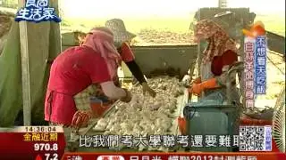 食尚生活家：雲林蒜革命 黑蒜外銷商機大 | 食尚生活家 | 三立財經台CH88