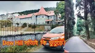 Dow hill | কাশিয়াং এর ভুতুড়ে ডাওহিল | সত্যি কি ভুতুড়ে? | Kolkata to Downhill drive by car 