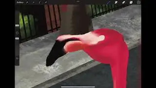 Drawing | Flamingo Crossing  ft. Flamingo, zebra, city