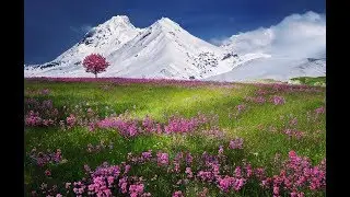 Prelude No 9 - Classical Instrumental Music Download