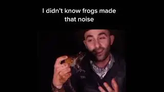 I didn&rsquo;t know frogs made that sound