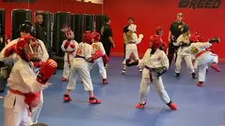 Ava&rsquo;s blue belt test