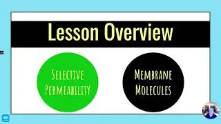 OAT Exam Prep Biology Ch2b   Cell Membrane (CrackOAT.com)