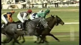 1996 Hennessy Cognac Gold Cup Handicap Chase