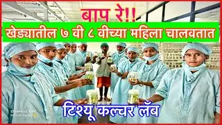 खेड्यातील अल्पशिक्षित महिला चालवतात Tissue Culture Lab 