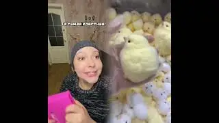🤣👌👌👌2026 pov Must-Watch Crazy Clips Compilation #humor #fypシ #pov #fyp #foryou 😍😜