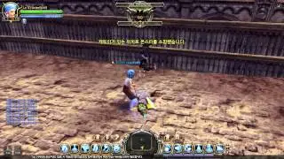 [KDN] Dragon Nest warrior skill changes