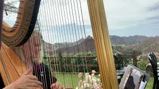 OMG: Can&rsquo;t Help Falling in Love With You, Los Angeles Harpist (Peggy)