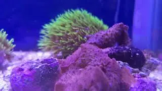 Reefin ain't easy