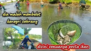 Antara cinta Dan penghianatan