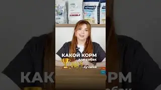 Так какой корм для собак самый лучший? Подпишись и узнаешь🐾 #4pets #ветеринар #кормдлясобак #собаки
