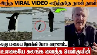 Viral Penguin Video 😢 Tragic Decision Reason | Werner Herzog About Documentary | Walks To Mountain
