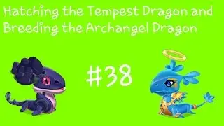 Hatching the Tempest and breeding the Archangel Dragon | DML Windows Gameplay #38