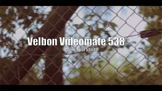 VELBON VIDEOMATE 538-TEST SHOTS