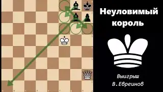Неуловимый король! #шахматы #chess #этюды