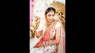 Best Indian Wedding Highlight Video 2020| Sheetal & Ryan | Australia