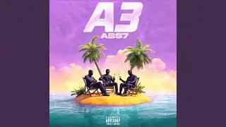 A3