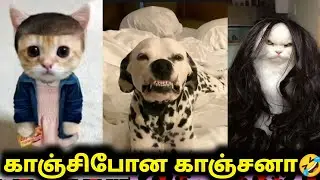 காஞ்சிபோன காஞ்சனா | Funny video | Twisty story | Twist at end