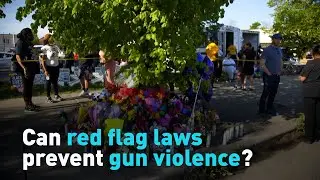 Can red flag laws prevent gun violence?
