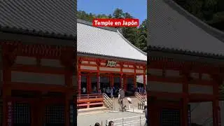 #temple #japan #viral #video #travel #pray #how #viajes
