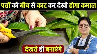 Without needle and thread, I made Toran in a very unique way, in just 5 minutes | Bandhanwar Maki...