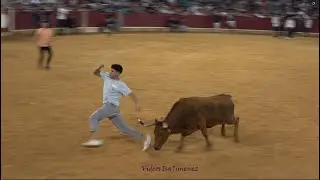 Zaragoza – Mañana vaquillera 13/10/2025 – Nº203/Guapa – 