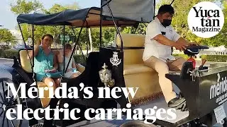 Horseless Carriages: Will Tourists Adapt to Motorized Rides?