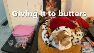 Printing a mouse 🐁 for butters with my 3d printer!! Part 2