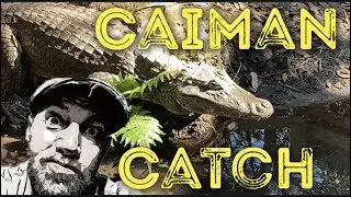 CAIMAN CATCH