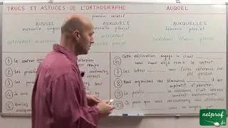 auquel, auxquels ou auxquelles