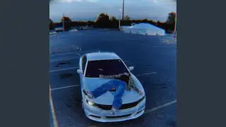 Where have you been