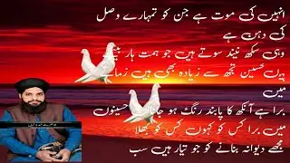 Hazrat alma molna qari amir waqas noshahi sahb hazrat